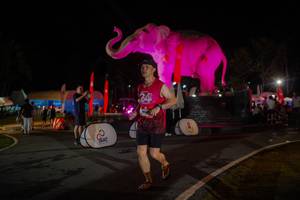 BIB: 
                            <button type="button" onclick="openModal(26552157)" class="btn btn-primary btn-sm float-right btn-popup" data-toggle="modal" data-target=".modal-high-quality">
                        <i class="fas fa-shopping-cart"></i> Add to Cart
                    </button>
                                            <button type="button" onclick="isThisMe(26552157, true)" class="btn btn-success btn-sm float-right btn-popup btn-isme hidden" data-toggle="tooltip" data-placement="bottom" title="นี่คือรูปของคุณใช่ไหม คลิกที่นี่เพื่อเอาเข้าอัลบั้ม">
                        <i class="fas fa-plus"></i> Add to album
                    </button>
                    <button type="button" onclick="isThisMe(26552157, false)" class="btn btn-warning btn-sm float-right btn-popup btn-isnotme hidden">
                        <i class="fas fa-ban"></i> Remove from album
                    </button>